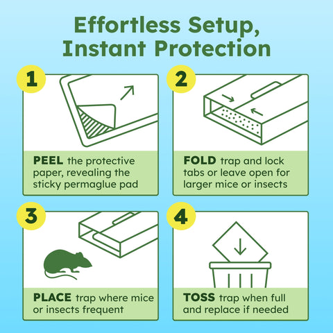 BugMD CatchShield glue trap foldable cover for added safety