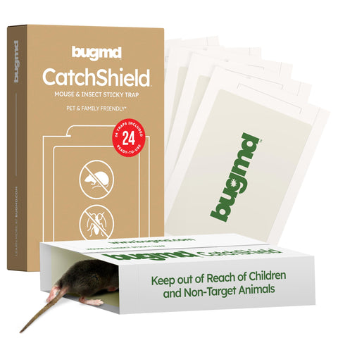 BugMD CatchShield glue trap mice ready-to-use for quick indoor capture