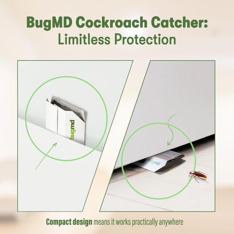 BugMD disposable touch-free trap, ready for disposal after use.