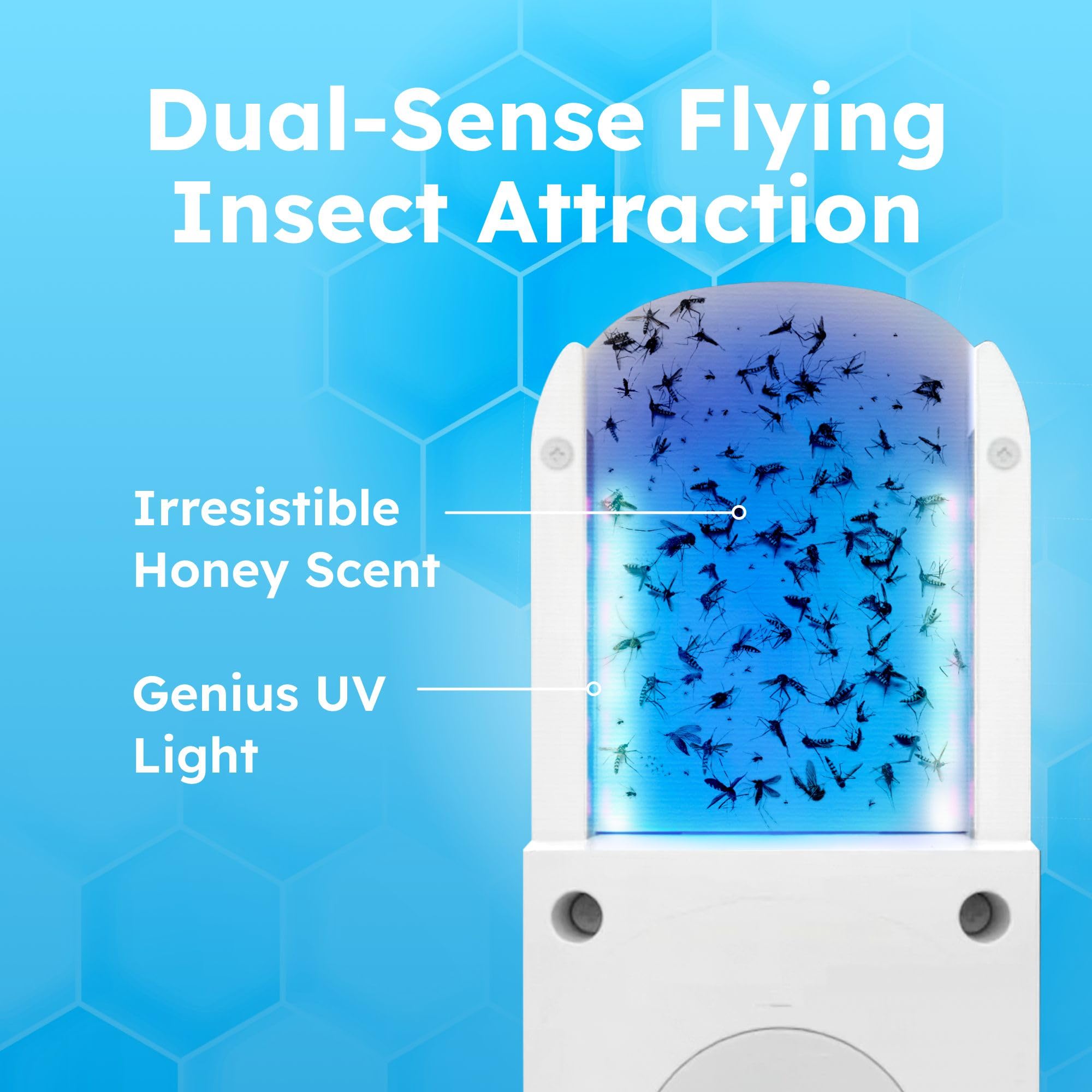 BugMD No Buzz Zone refillable gnat traps capture pests for a cleaner home