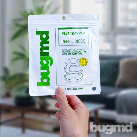 BugMD pest trap dome assembly; ready to catch more bugs with strong adhesive.