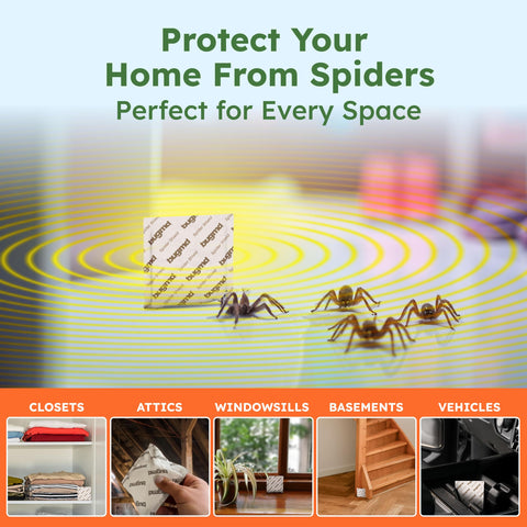 BugMD Spider Shield pouch placed in vehicle shows versatile, in-vehicle protection