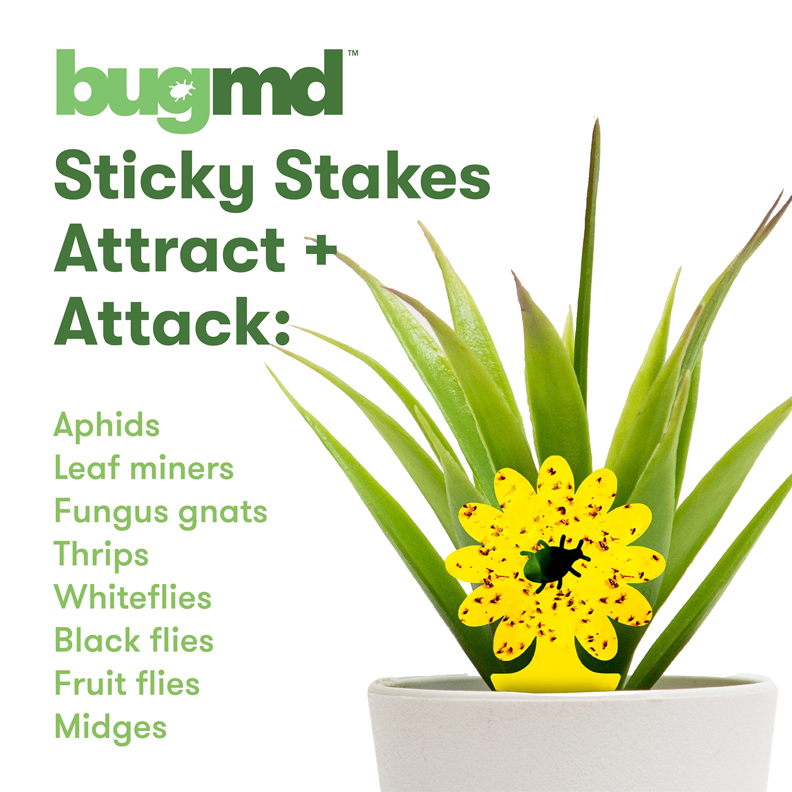 BugMD Sticky Traps compact design blends with plants while capturing flying pests.