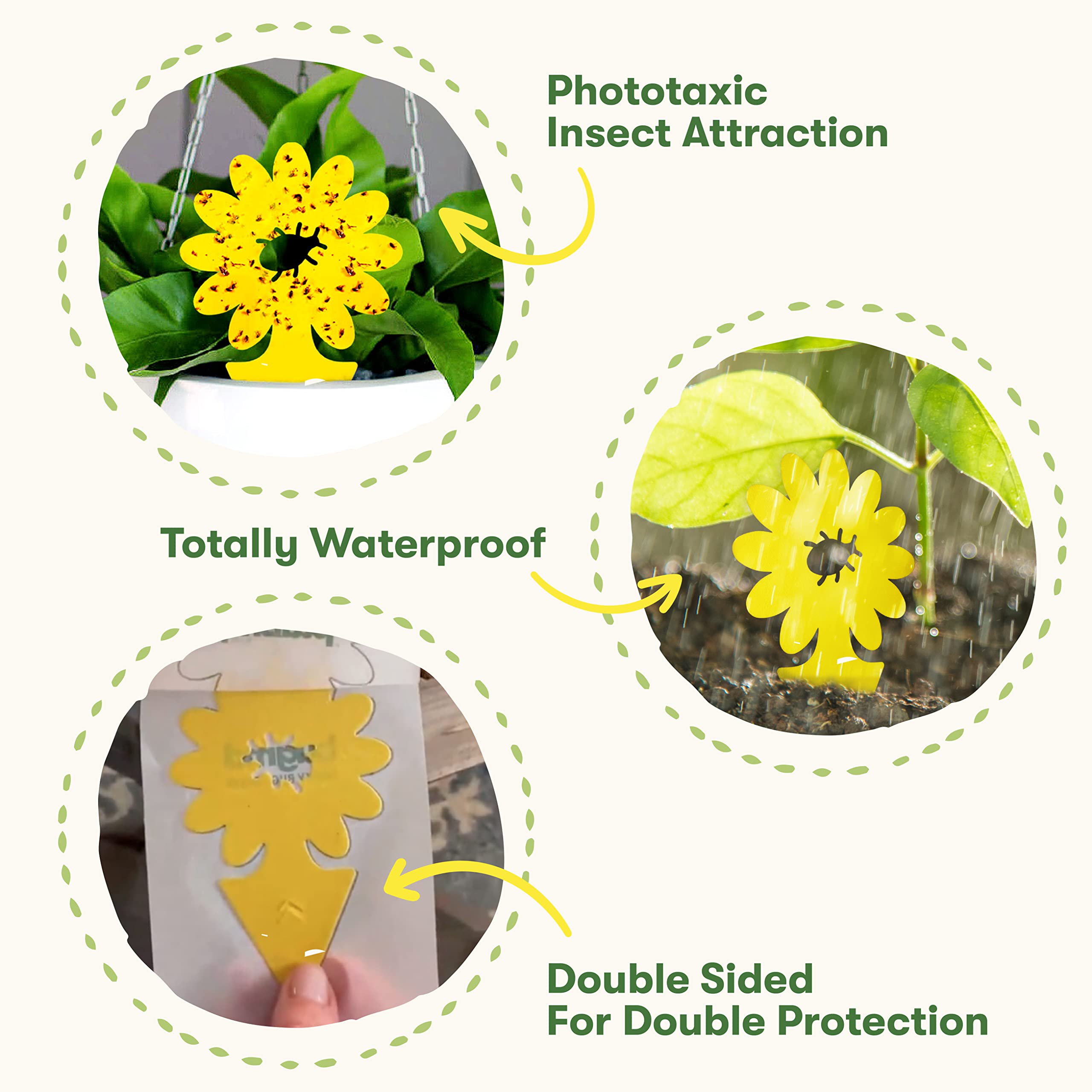 BugMD Sticky Traps display bright yellow floral design for plant protection.