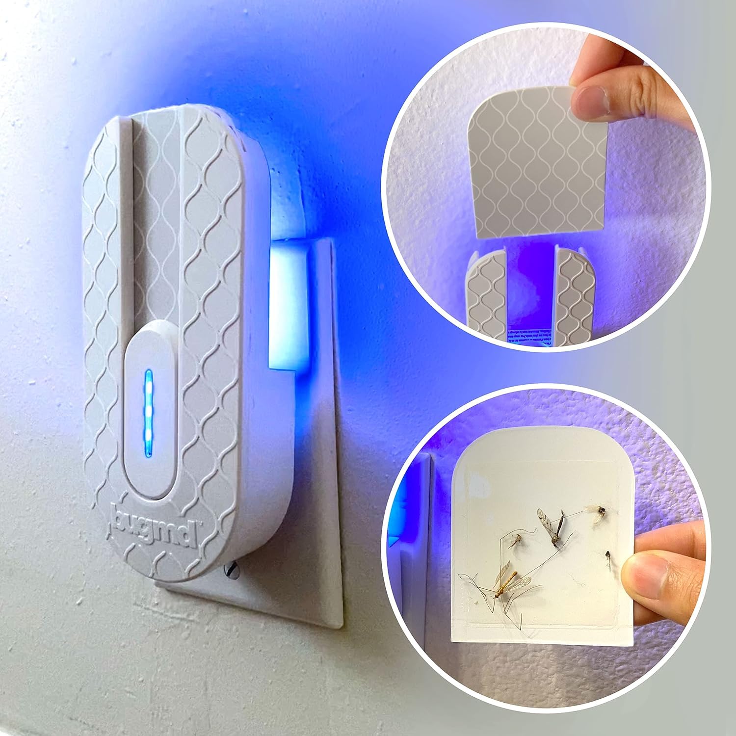 UV light lure activates at dusk to attract pests