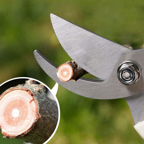 BUGUI ergonomic handles support left and right-handed use.