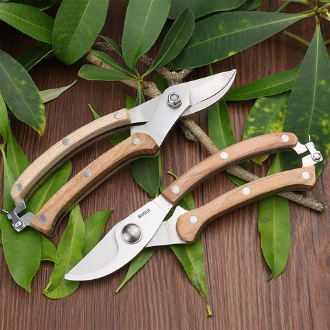BUGUI premium garden shears built for durability and long-term use.