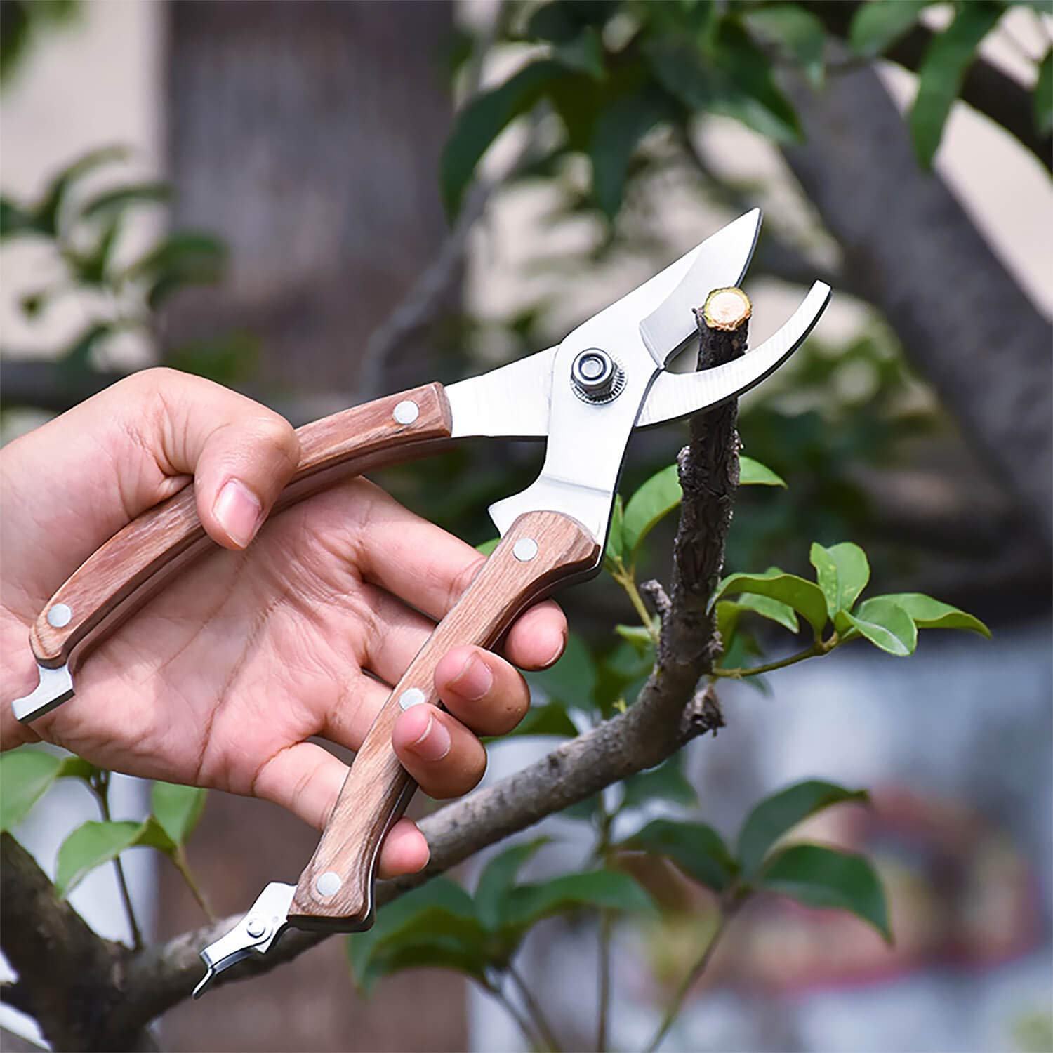 BUGUI safety lock design keeps blades safely closed when stored.