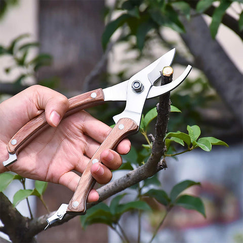 BUGUI safety lock design keeps blades safely closed when stored.