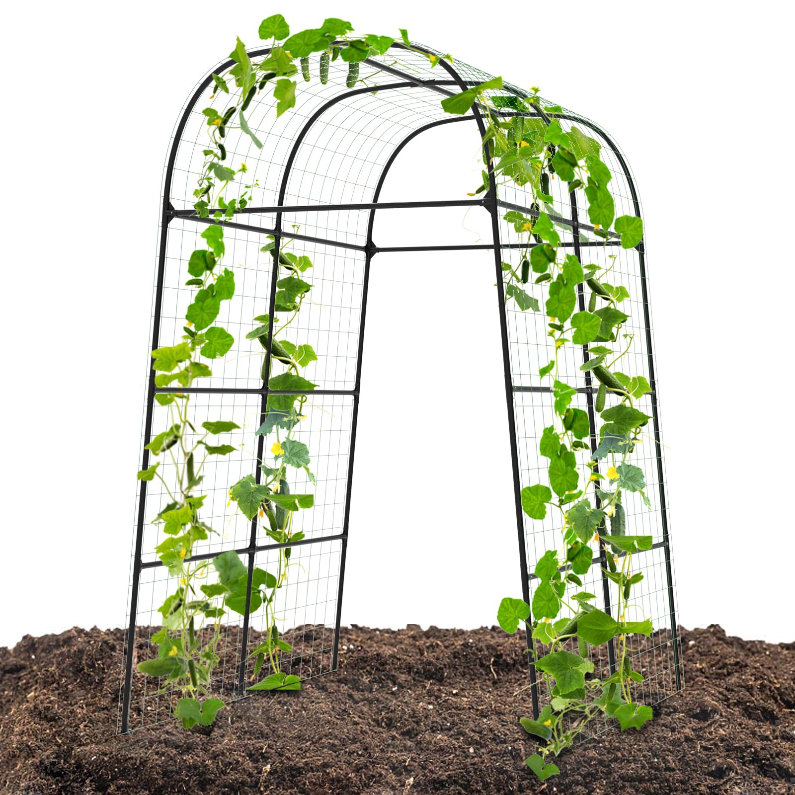 BUKLIYN Garden Arch Trellis front view ideal for cucumbers and vines