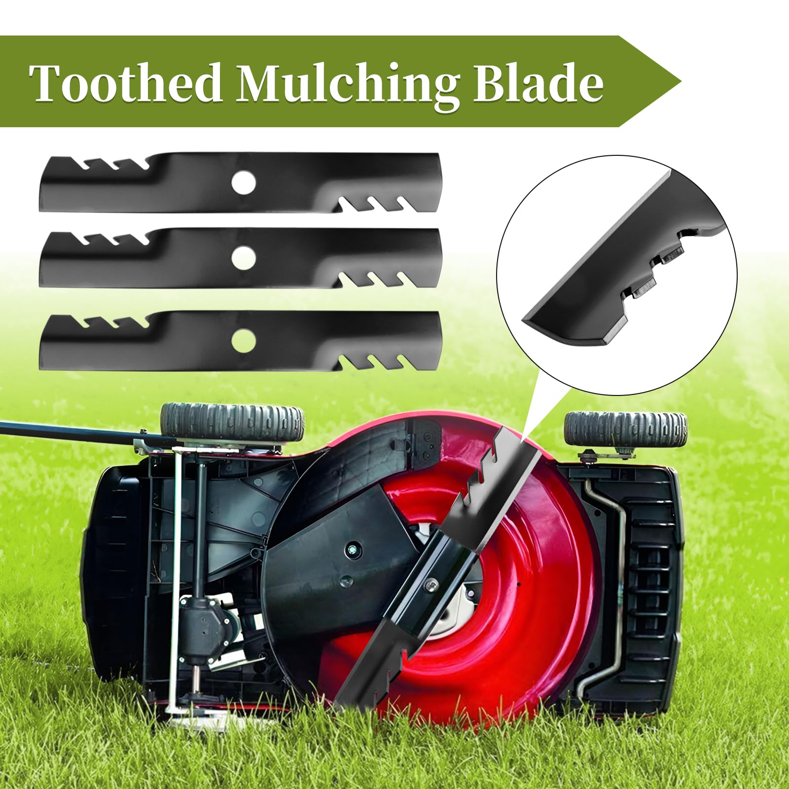 Blade dimensions 16-1/4 inch length, 2-1/2 inch width, 0.204 inch thick.