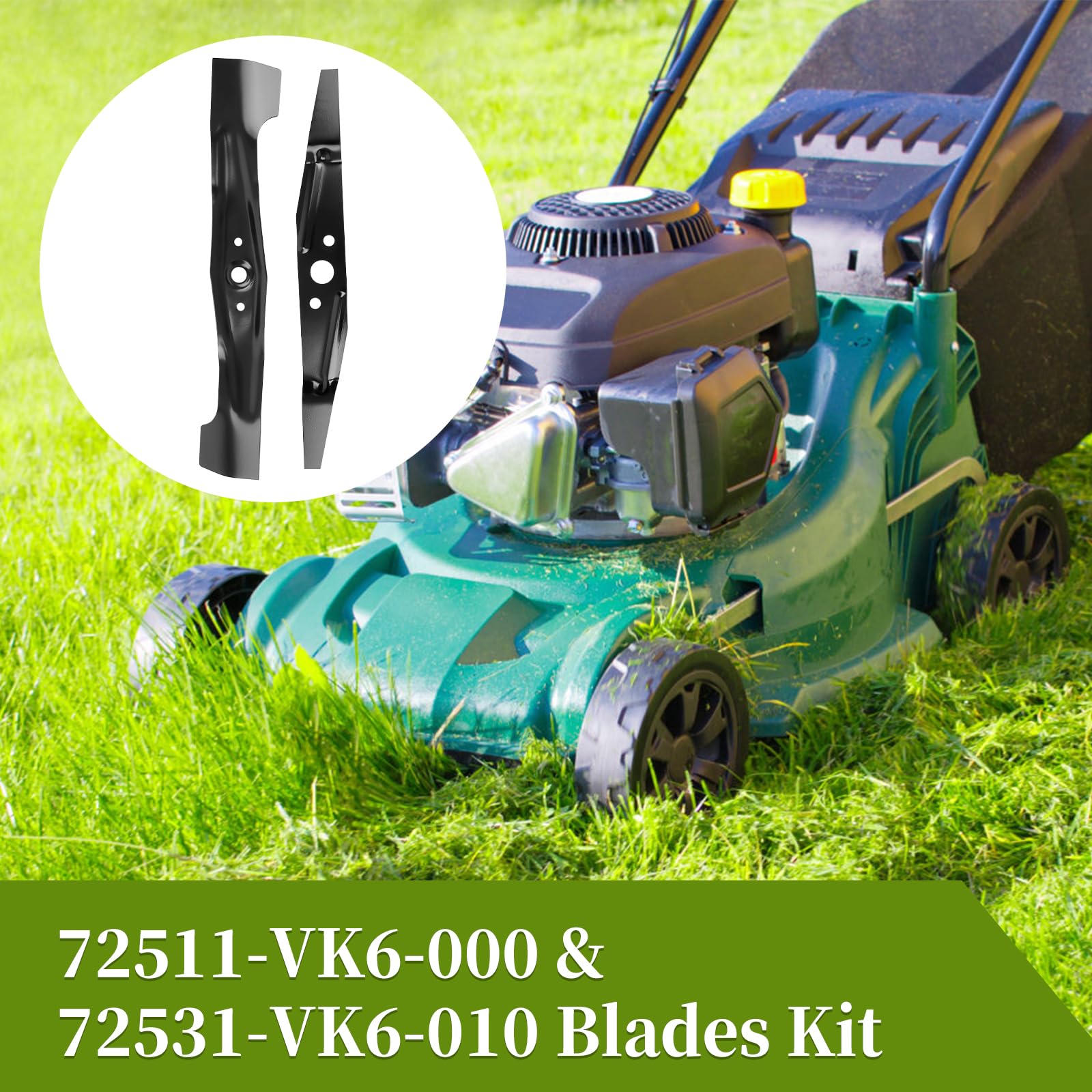 Bularie dimension check for upper and lower blades before purchase