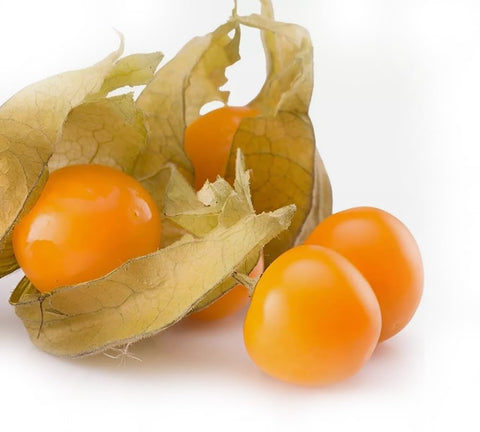 Bulborium cape-gooseberry-husk-cherries harvest ready for fresh snacks or jams.