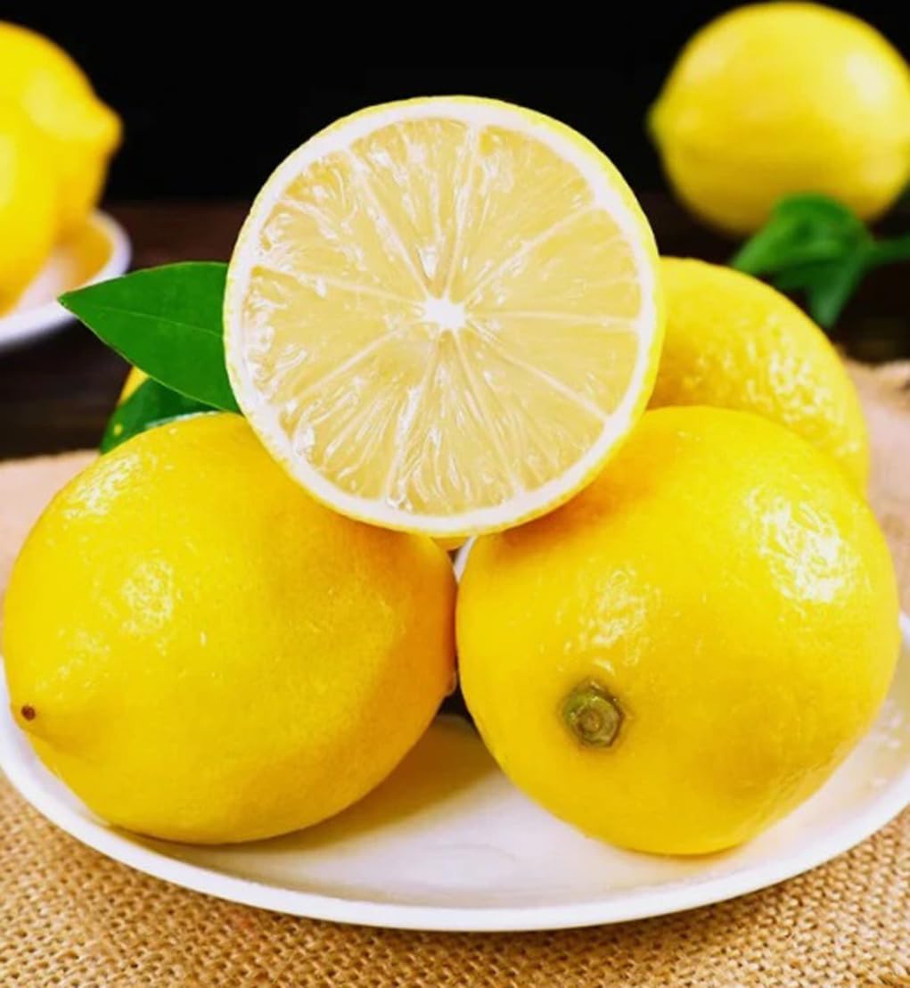 Bulborium Meyer lemon germination step illustration showing soak and prep