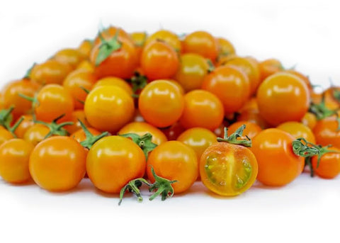 Bulborium Orange Hat micro dwarf tomato seeds compact seedlings for container gardening.
