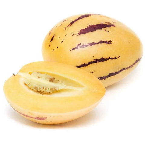 BULBORIUM pepino melon planted in container, versatile for limited spaces and sunny spots.