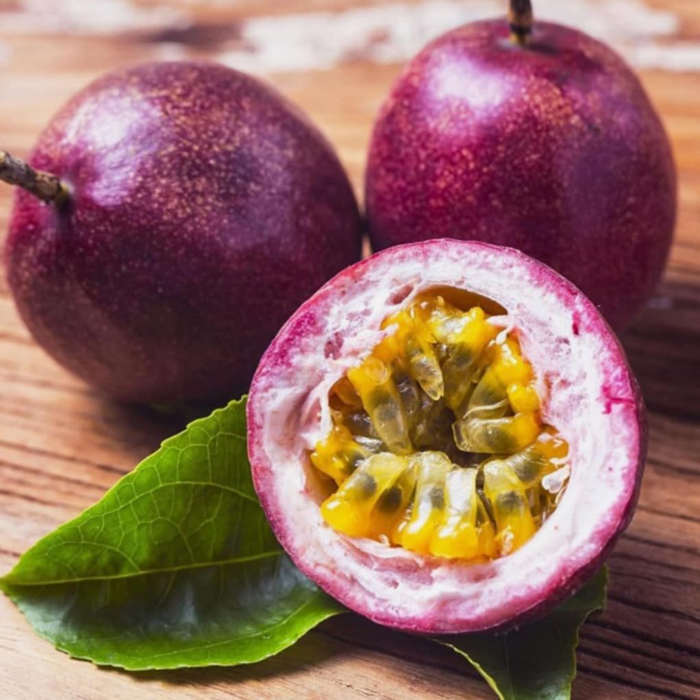 Bulborium purple passion fruit seeds pack ready for planting in a garden bed