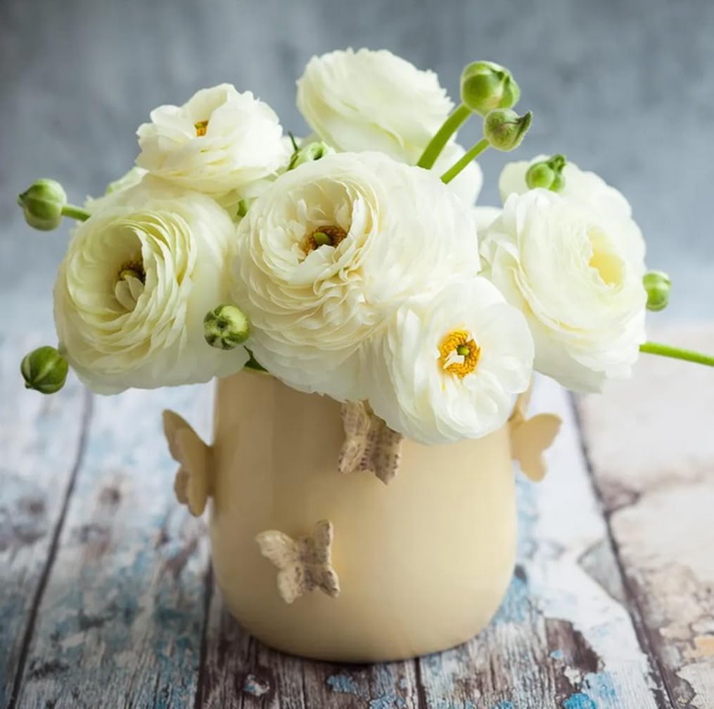 BULBORIUM Ranunculus planted in the garden for spring color and seasonal flair.