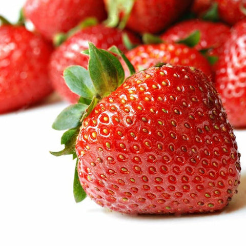 Bulborium strawberry plants with fruit, vibrant berries ready for harvest.