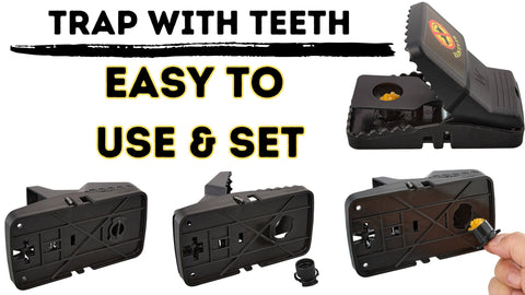 Bullseye six pack traps offering cost effective rodent control in bulk.