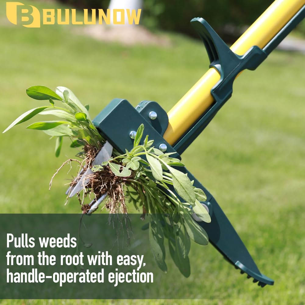 BULUNOW root removal capability targets stubborn weeds effectively.