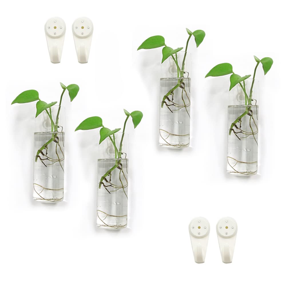 Bunhut wall planters glass terrarium 1 highlights vibrant indoor plants with clear visibility.