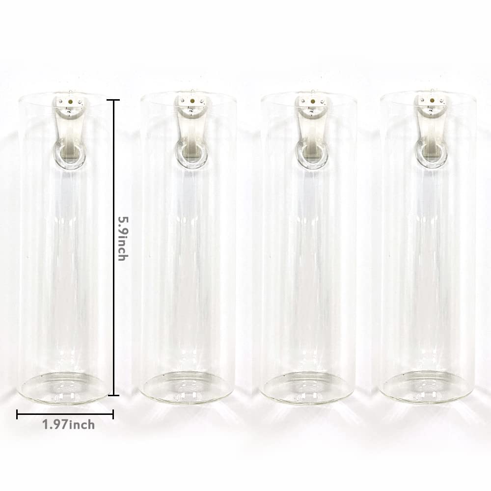 Bunhut wall planters glass terrarium 2 displays small succulents with elegant light-catching glass.