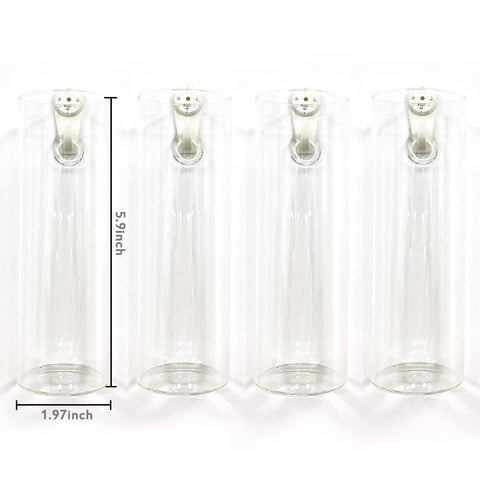 Bunhut wall planters glass terrarium 2 displays small succulents with elegant light-catching glass.