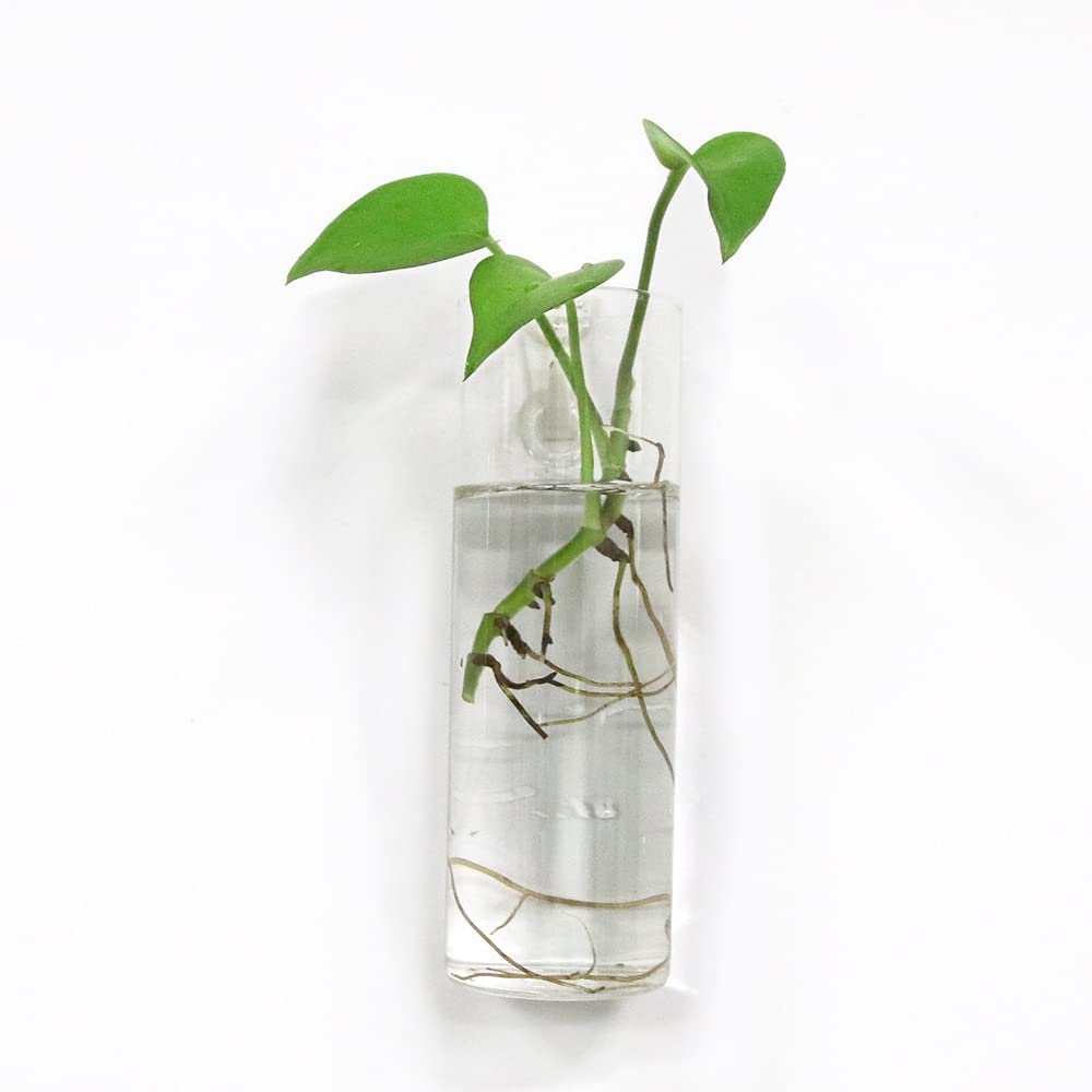 Bunhut wall planters hooks included emphasize easy mounting on any wall.
