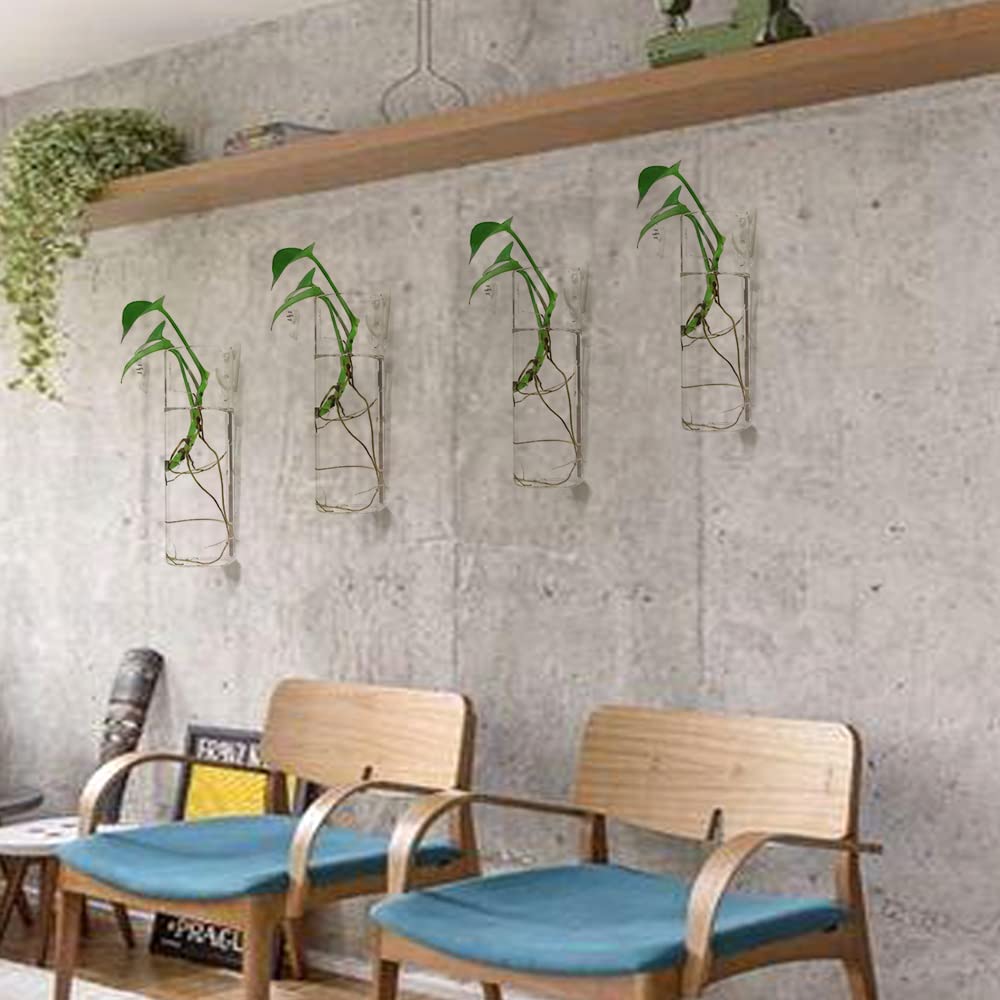 Bunhut wall planters indoor plant display brightens rooms with reflective glass surfaces.