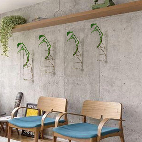 Bunhut wall planters indoor plant display brightens rooms with reflective glass surfaces.
