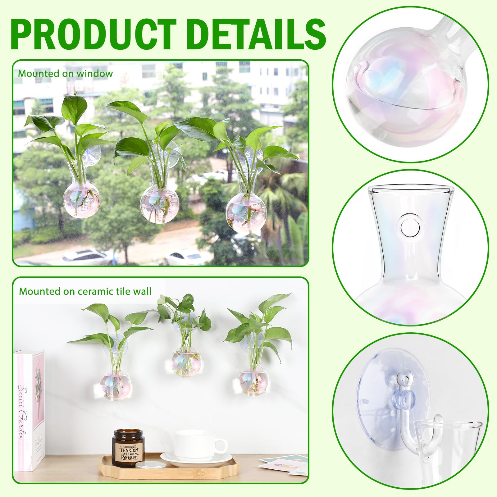 Bunmery four-pack glass bulb vases and suction cups for propagation set.