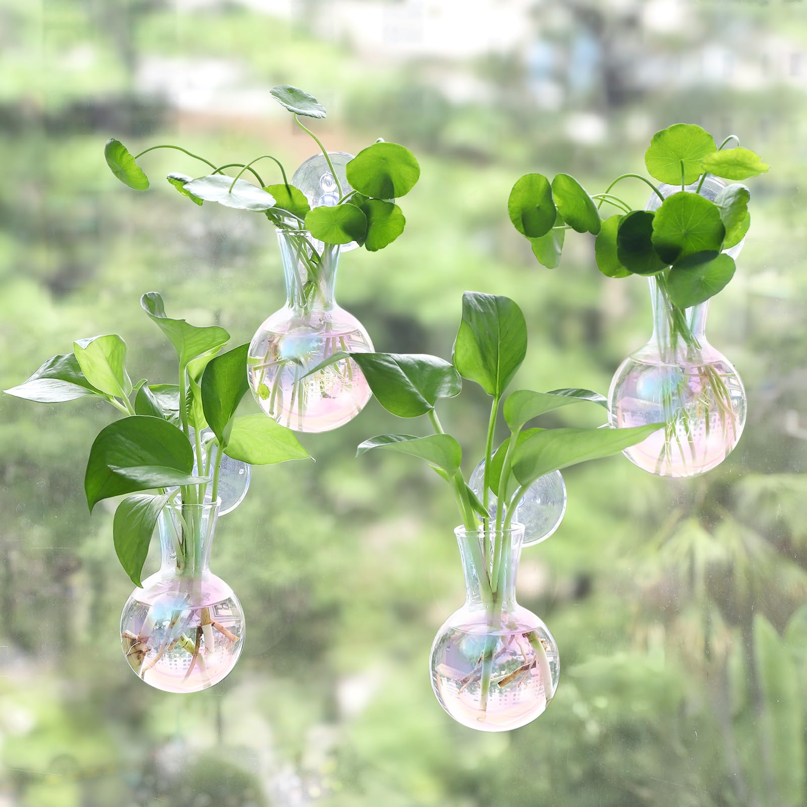 Bunmery iridescent window propagation station on glass, easy viewing of plant growth.