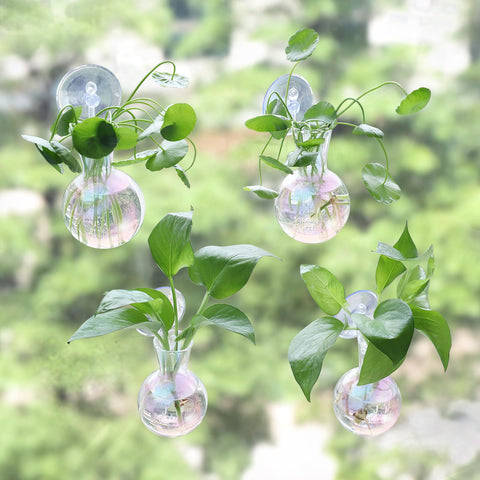 Bunmery iridescent glass bulb vase with water for propagation.