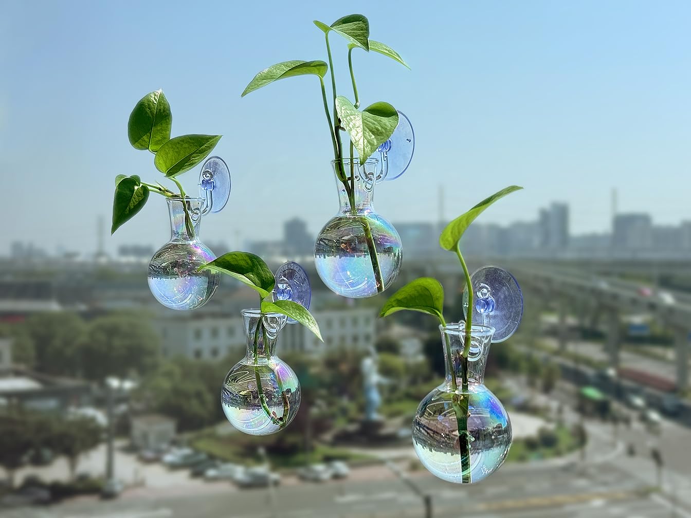 Bunmery gift-ready propagation station, ideal for plant lovers.