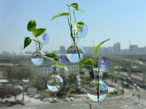 Bunmery gift-ready propagation station, ideal for plant lovers.