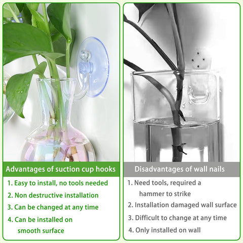 Bunmery suction-cup setup on a smooth surface for wall hanging.
