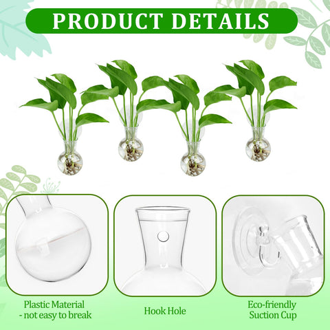 Bunmery transparent bulb vase shows plant growth clearly