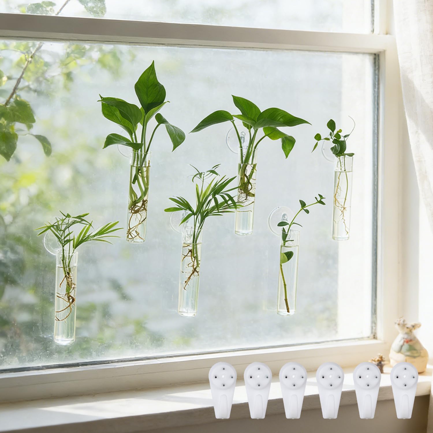 Bunmery window propagation stations mounted on glass for easy propagation and viewing