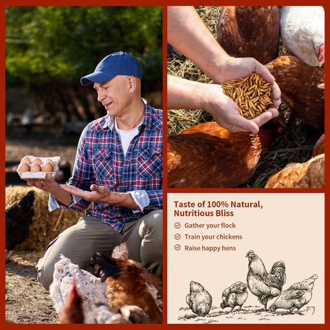 Small pets and birds benefit from Buntie Worms BSFL nutrition