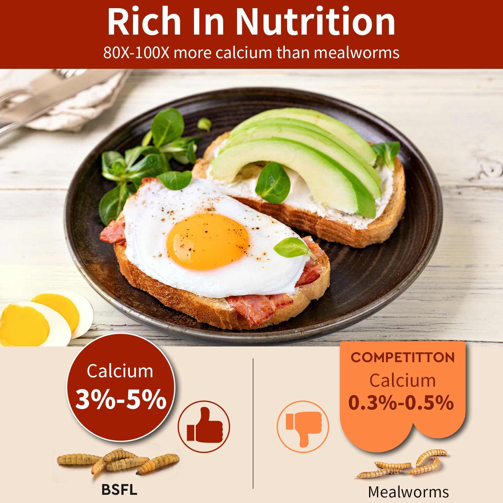 Buntie Worms BSFL calcium-rich snack supporting stronger eggshells in hens