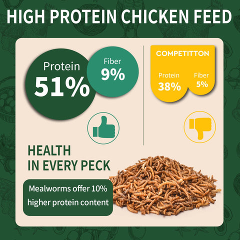 BUNTIE WORMS dried mealworms closeup highlights protein-rich nutrition for poultry.