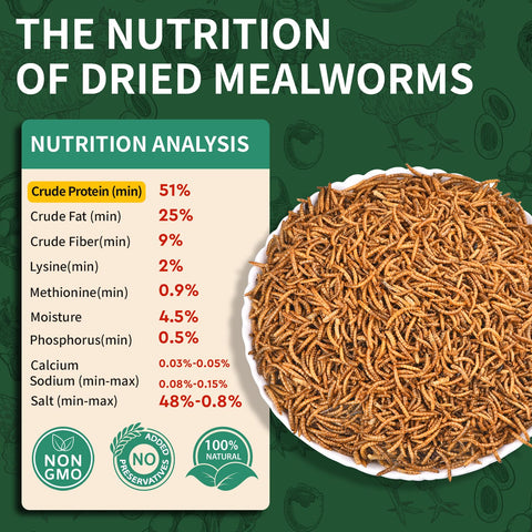 BUNTIE WORMS provide a protein-rich snack for reptiles and hedgehogs.