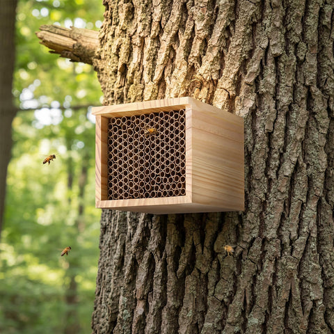 Burbell Outdoor Nesting Kit — two houses and tubes for year-round pollination support