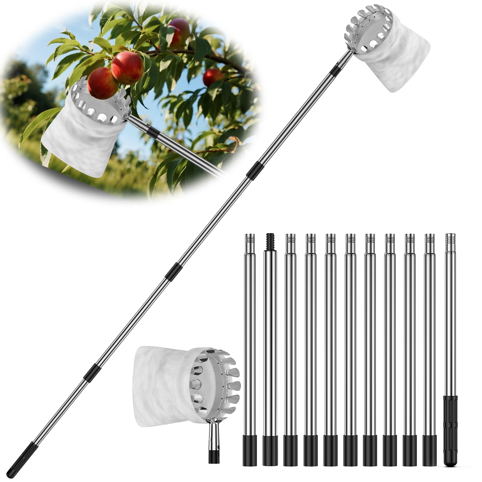 BURMONG 13.8 ft extendable pole enables safe high-reach fruit picking