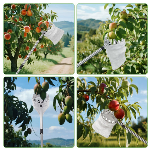 BURMONG versatile tool for apples, citrus, and stone fruits