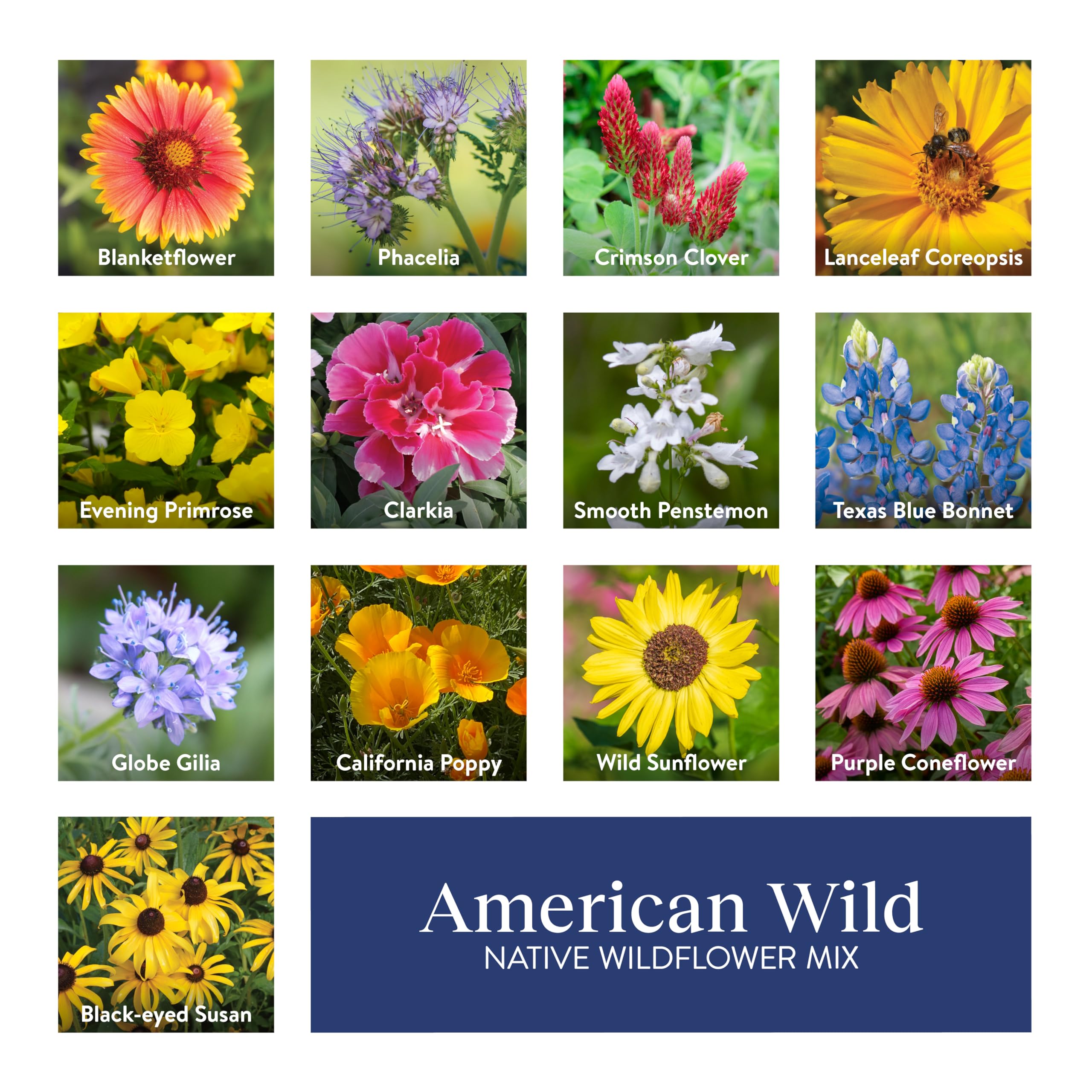 Burpee American Wild moisture-resistant bag keeps seeds fresh for later planting.