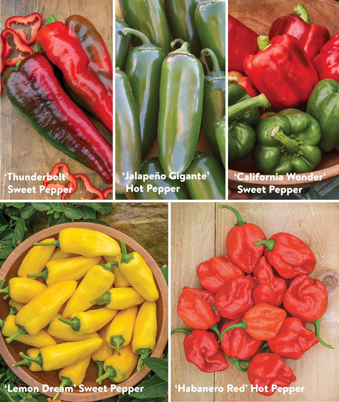 Burpee Best Collection cayenne seeds ideal for drying and spice.