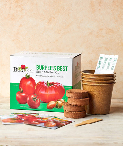 Burpee Best Starter Kit Biodegradable pots support easy transplanting and tidy gardening.