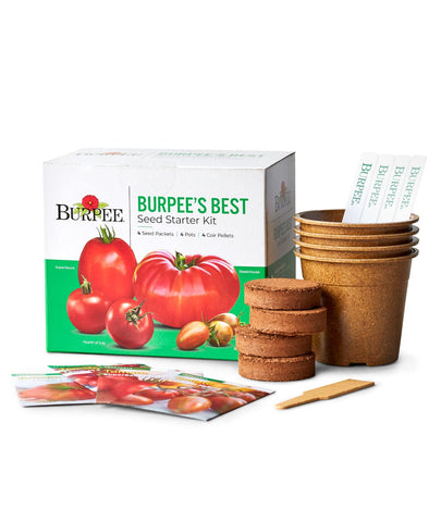 Burpee Best Starter Kit SuperSauce seed packets for indoor germination and starter plants.
